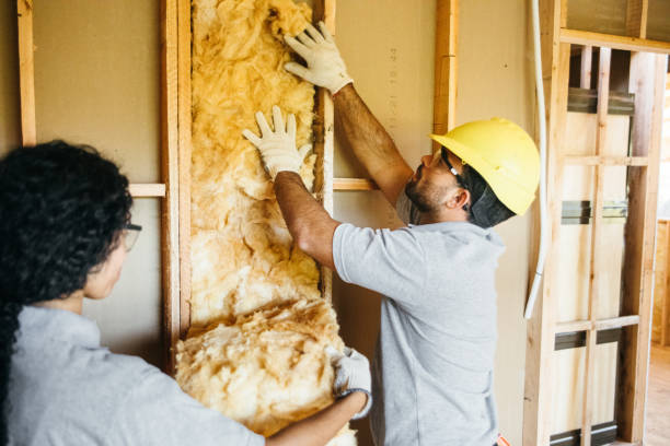 Best Soundproof Insulation  in Montesano, WA