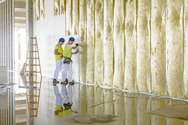 Best Eco-Friendly or Green Insulation Solutions  in Montesano, WA